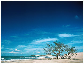 20071201184726-jericoacoara.jpg