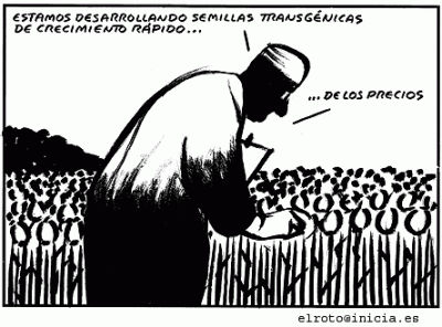 20081028175509-transgenicos.gif